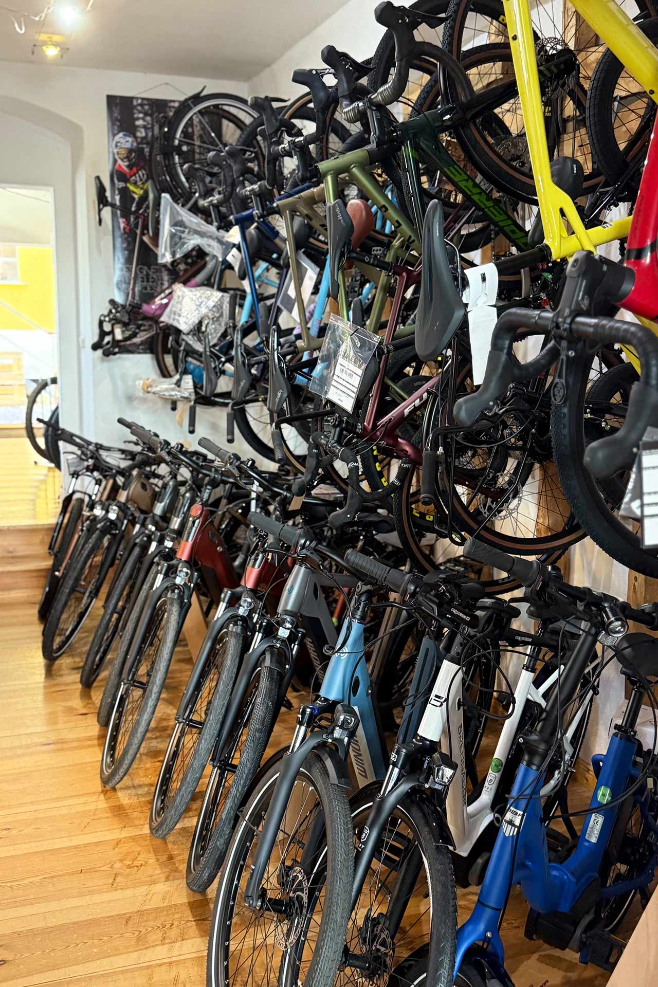 BIKEdog Fahrradladen - Fachgeschäft für Zweiräder in Brandenburg, Fahrräder
