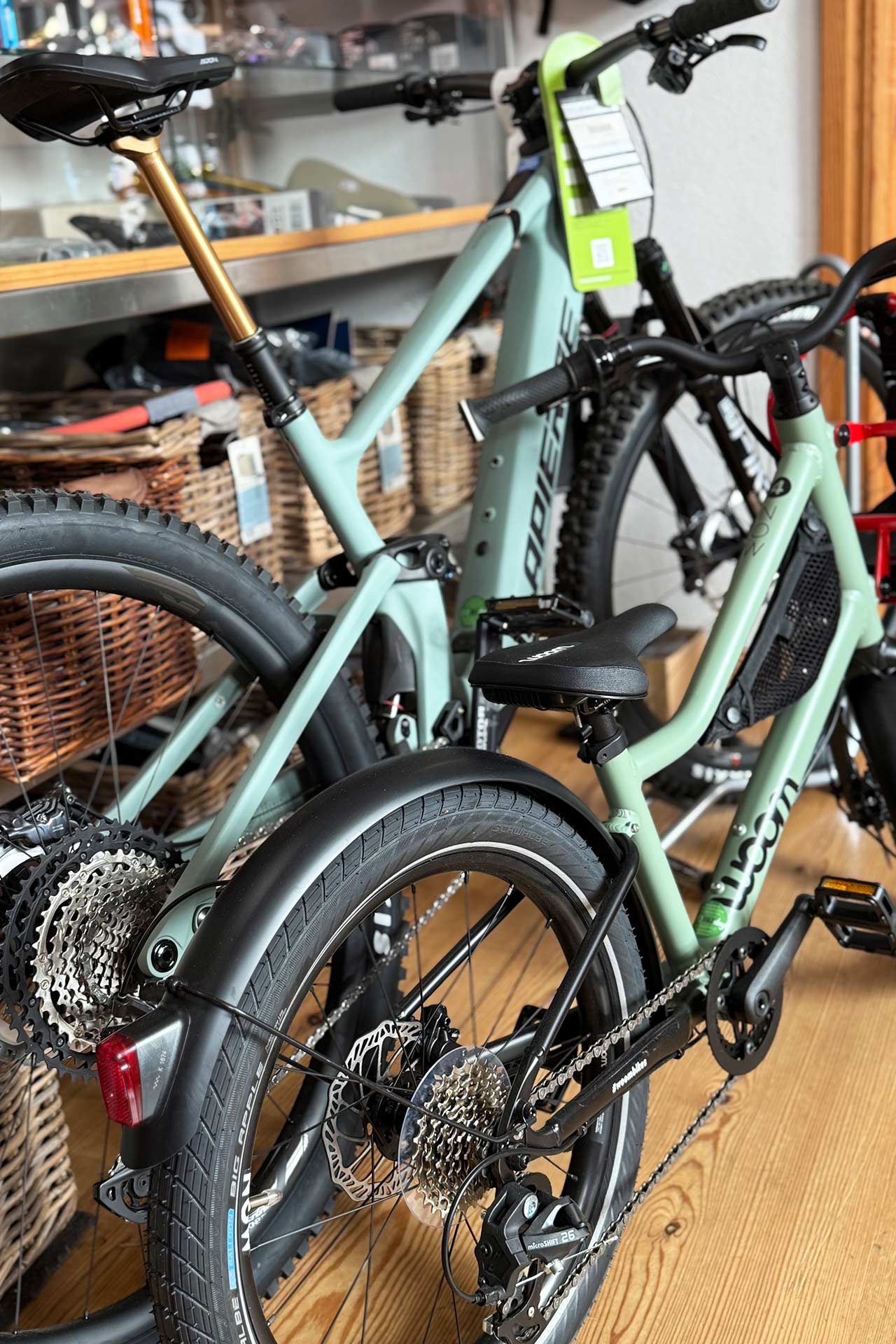 BIKEdog Fahrradladen - Fachgeschäft für Zweiräder in Brandenburg, Fahrrad, Fahrräder